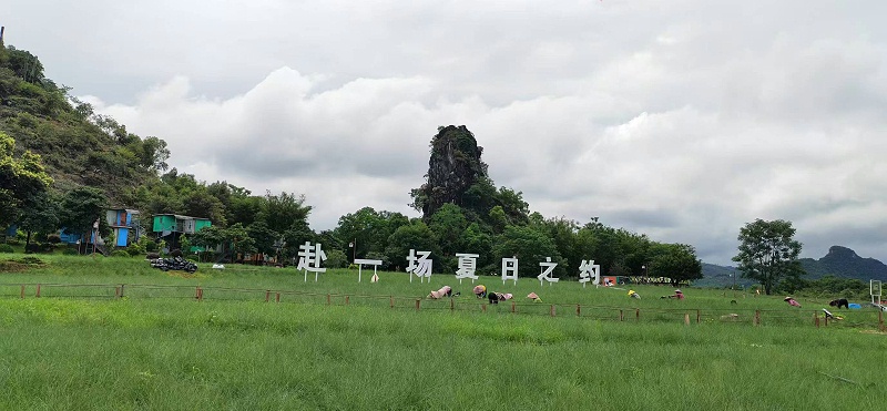 微信圖片_20250521145517 微信圖片_20250521145517