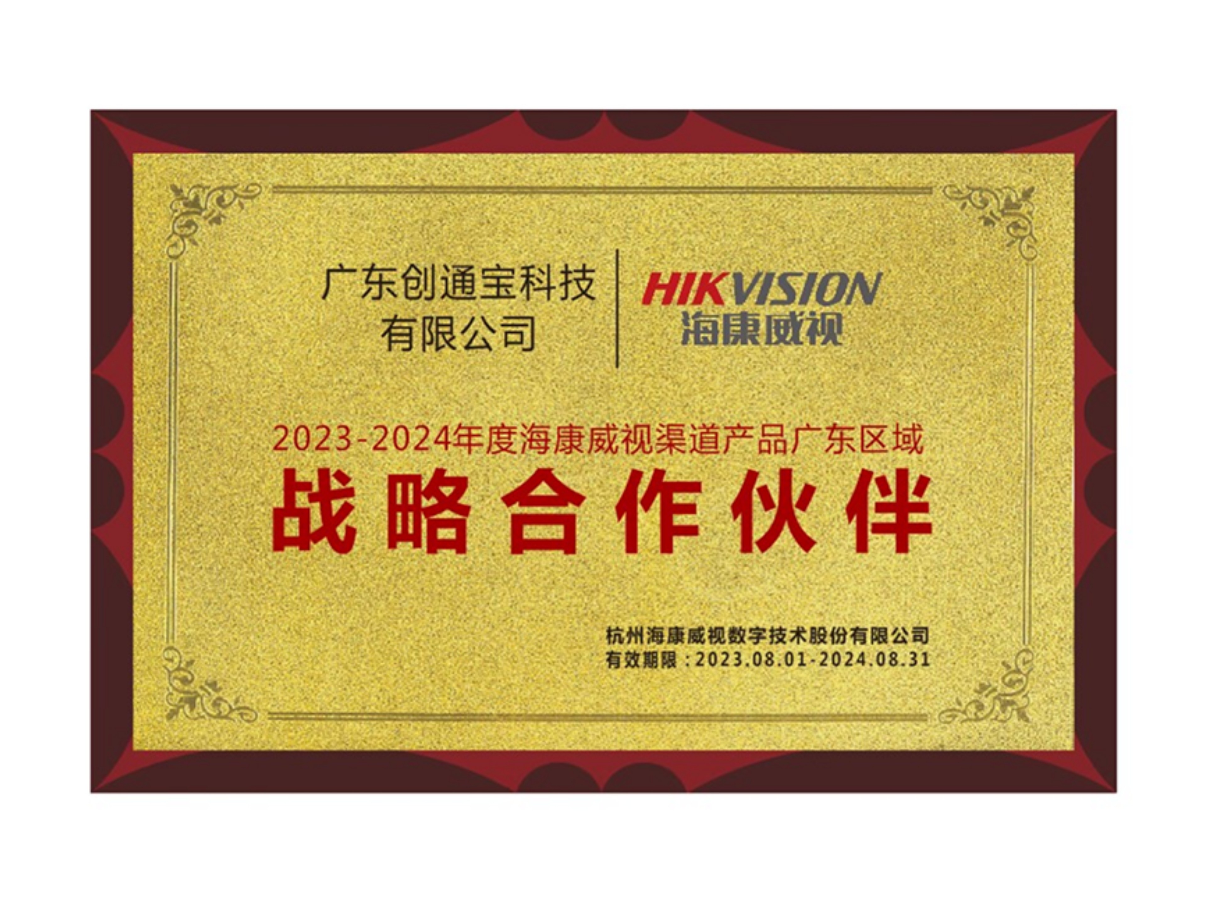 海康威視戰(zhàn)略合作伙伴